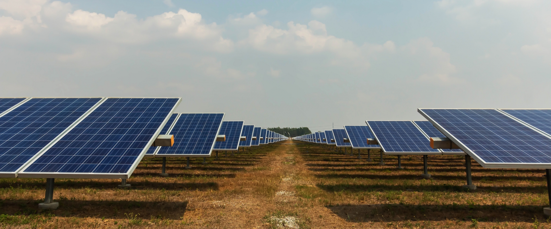 solar panels in solar farm