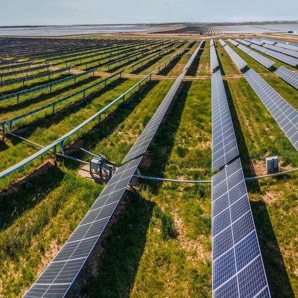 aerial shot of rows of solar panels in a field