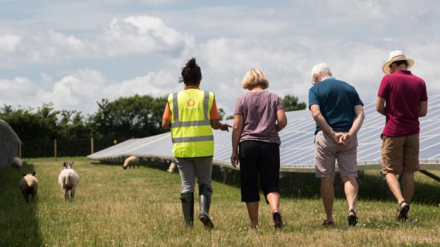 people walking in a solar farm