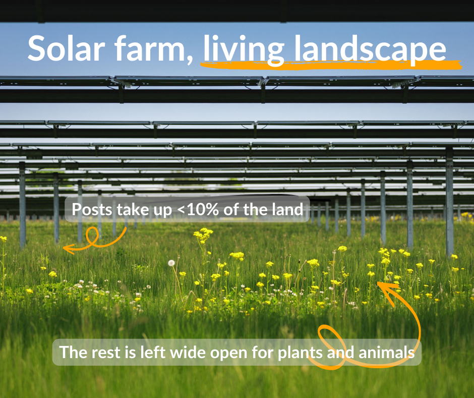 Image showing how the posts on a solar farm take up less than 10% of the land, leaving the rest open for plants and animals, which helps increase biodiversity