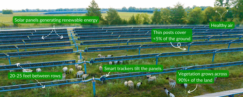 Aerial image of a solar farm with labels answering frequently asked questions