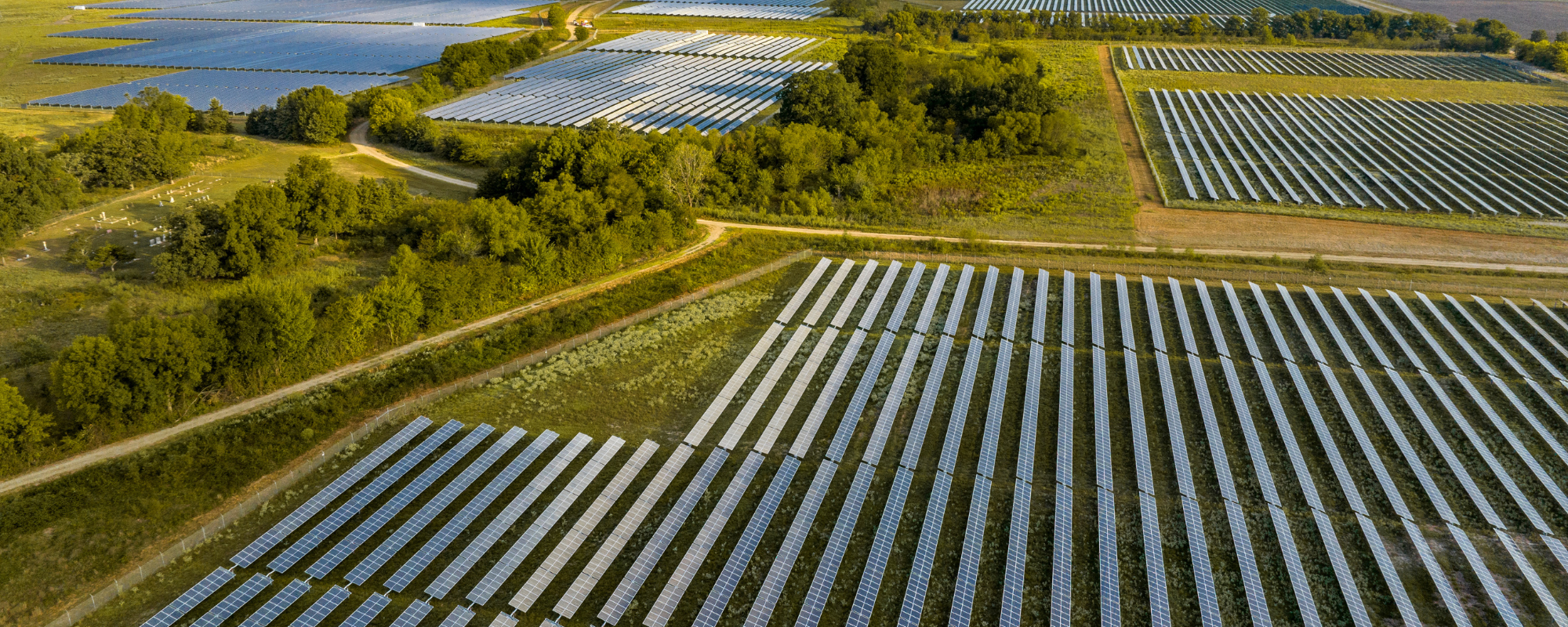 Solar panels in field with trees