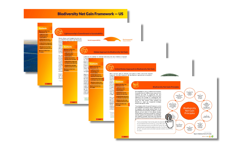 Preview images of biodiversity framework pdf