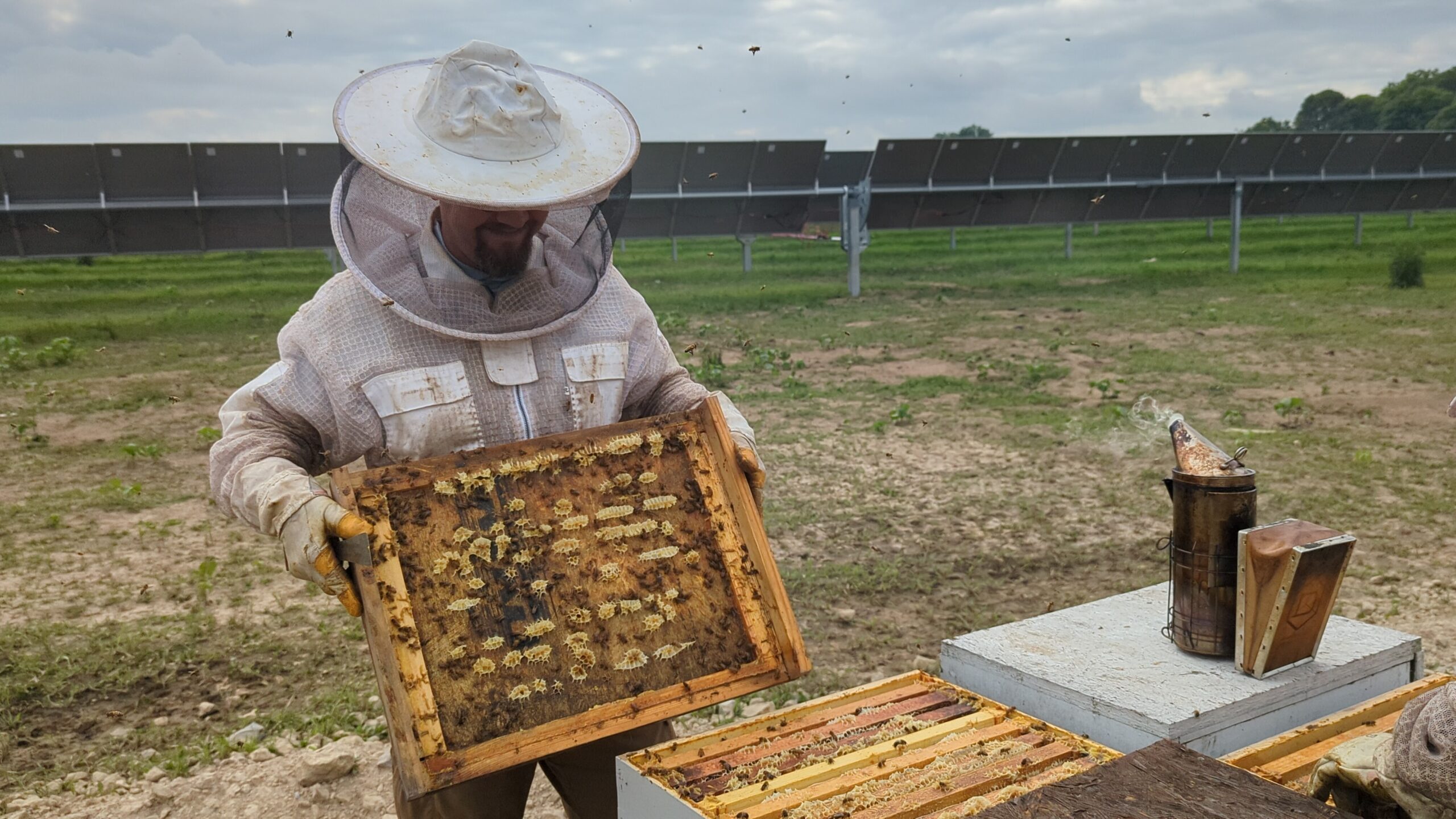 Beekeeper showing his bee frames