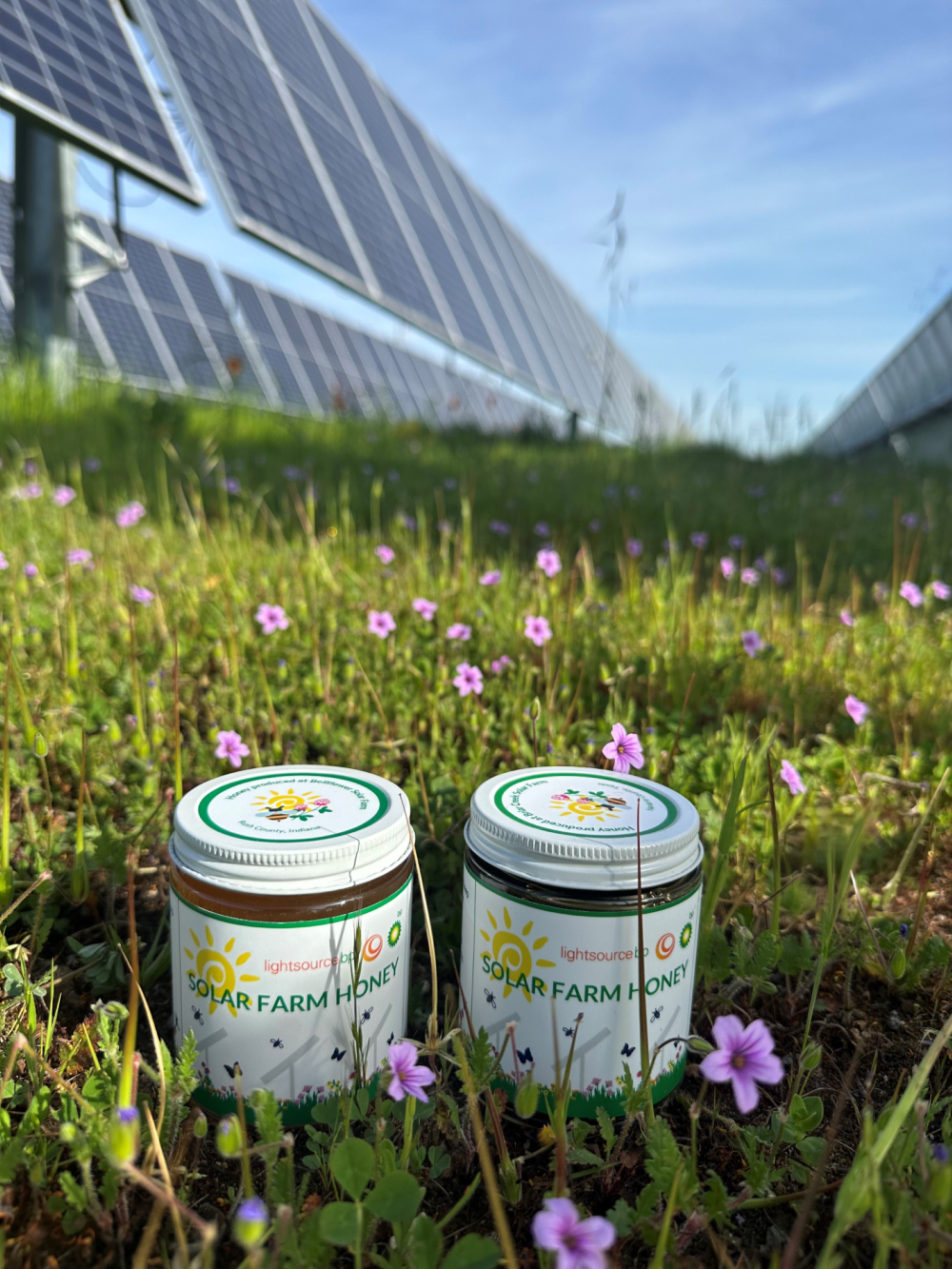 Honey jars at a solar farm