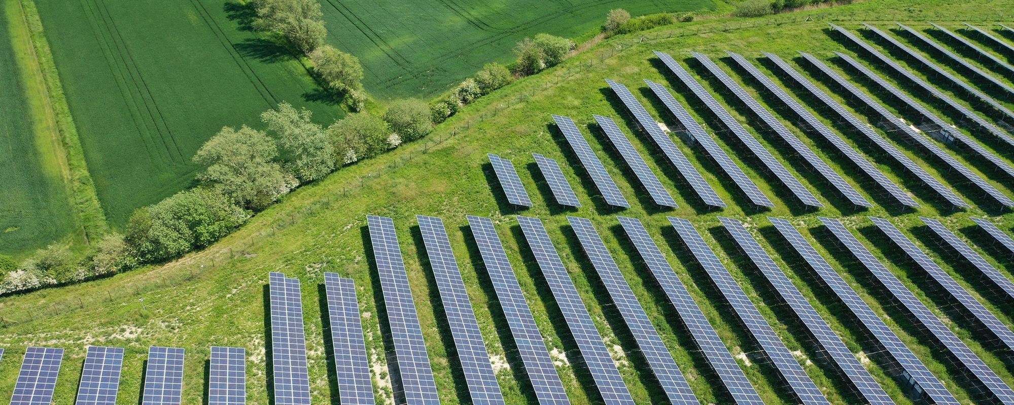 Aerial shot of field of solar panels