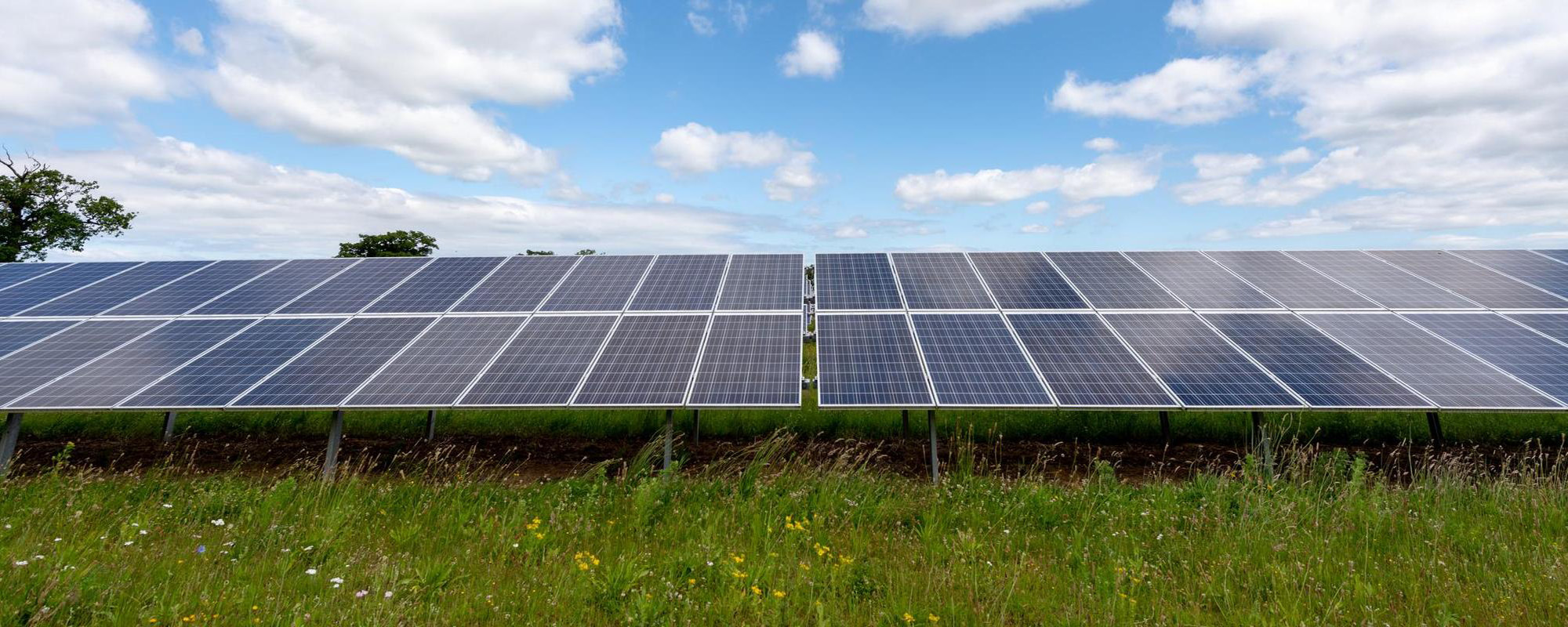 solar panels on green grass with cloudy blue sky above