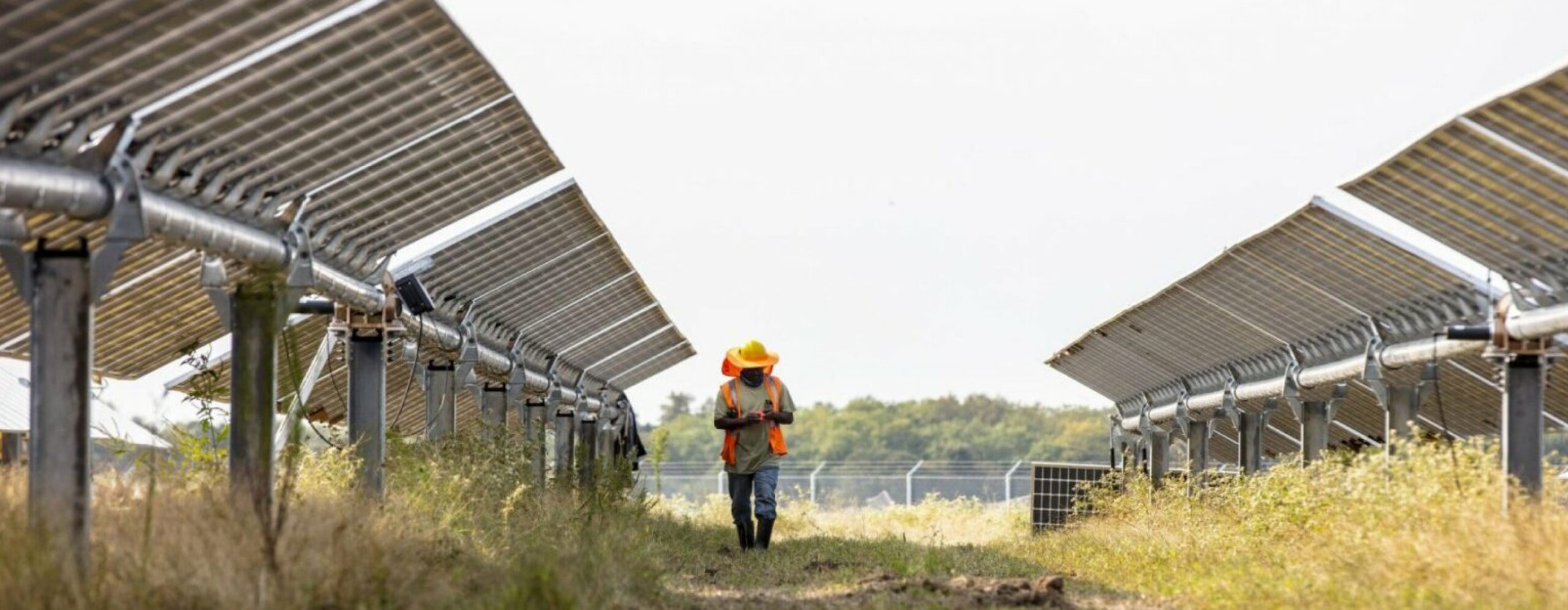 Construction worker walking through rows of solar panels on a solar farm