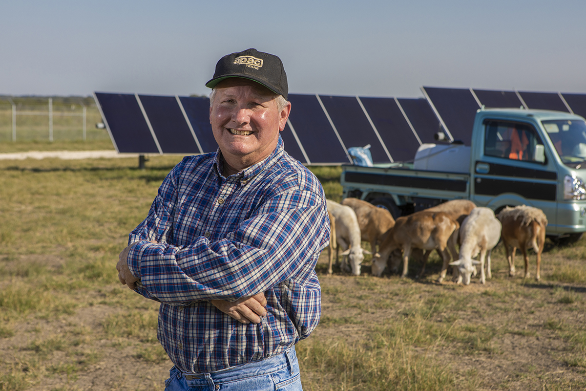 A male farmer stood with his arms crossed smiling at the camera, sheep grazing amongst solar panels in the background